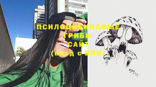 трава Абаза