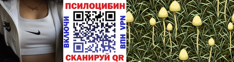 Галлюциногенные грибы Magic Shrooms  Дальнереченск 